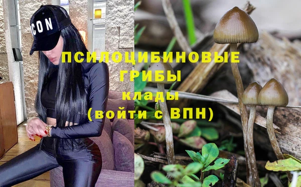 ешки Алексеевка