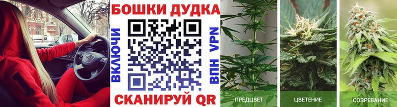 Шишки марихуана ГИДРОПОН Юрьев-Польский